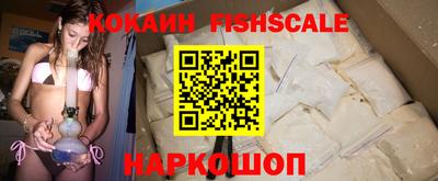 спиды Гай