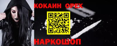 спиды Гай