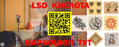 спиды Гай