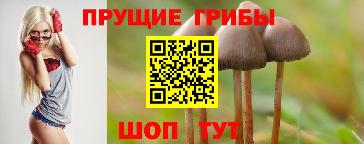 Галлюциногенные грибы MAGIC MUSHROOMS  Вход с VPN  Кировск  Псилоцибиновые грибы MAGIC MUSHROOMS 